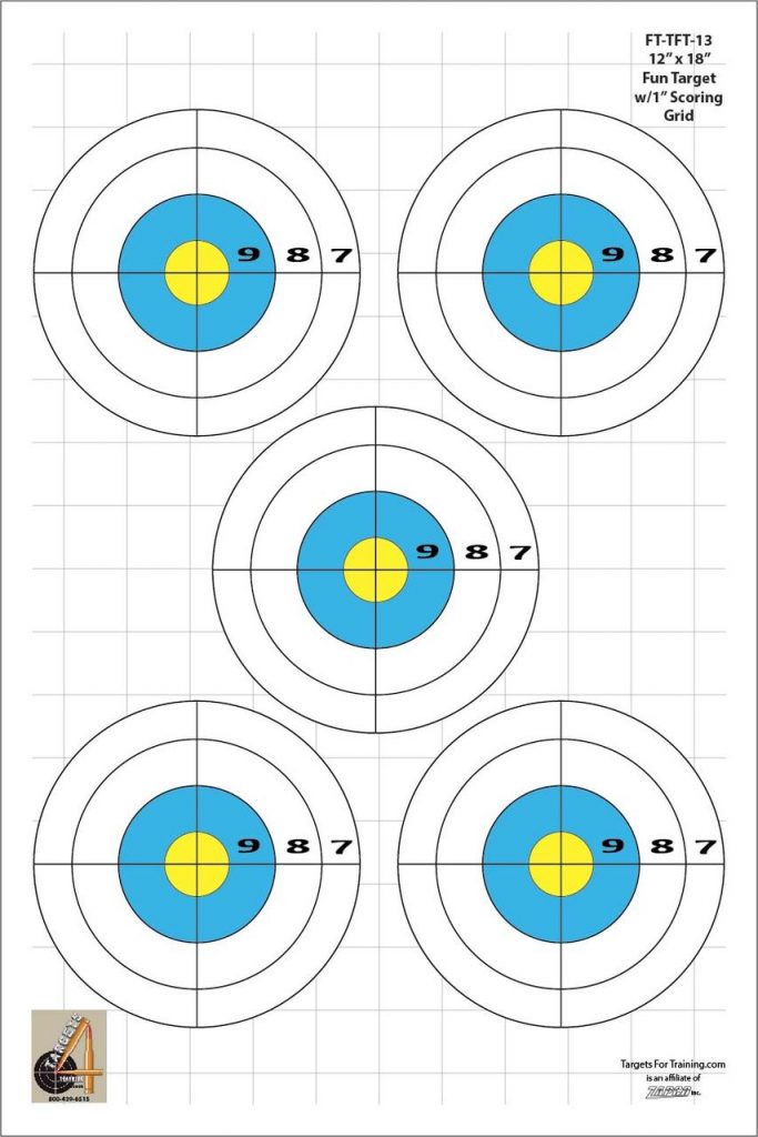 FT-TFT 13 Pkg of 20 Targets - Targets 4 Training