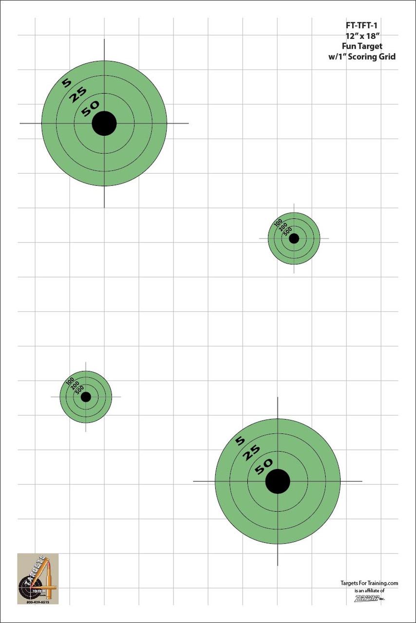 FT-TFT-1: Pkg of 20 Targets - Targets 4 Training