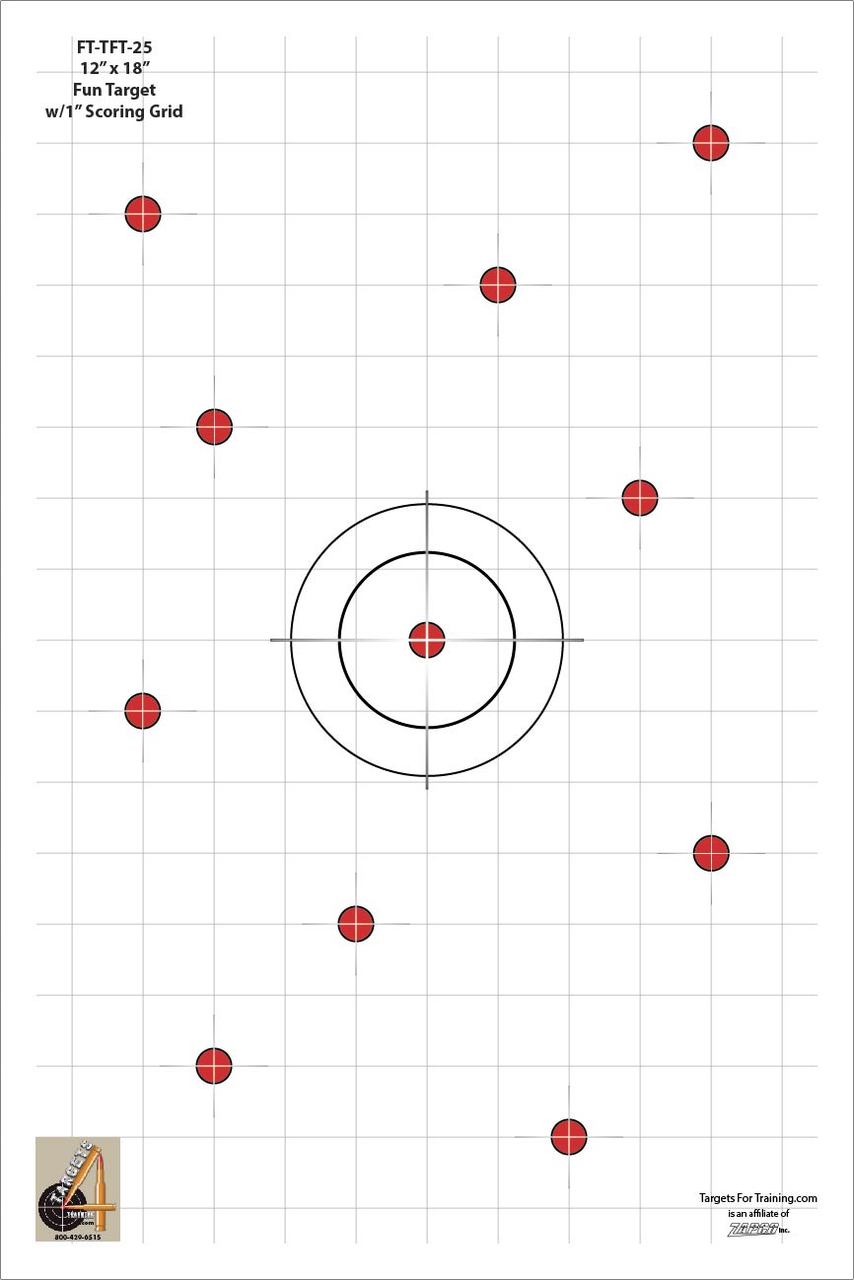 FT-TFT 25: Pkg of 20 Targets - Targets 4 Training