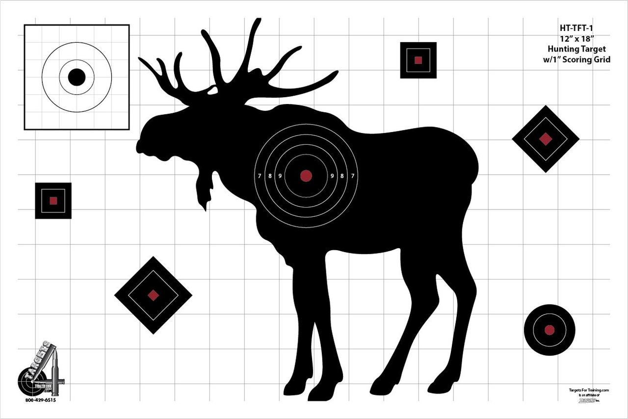 HT-TFT-1: Pkg of 20 Targets - Targets 4 Training